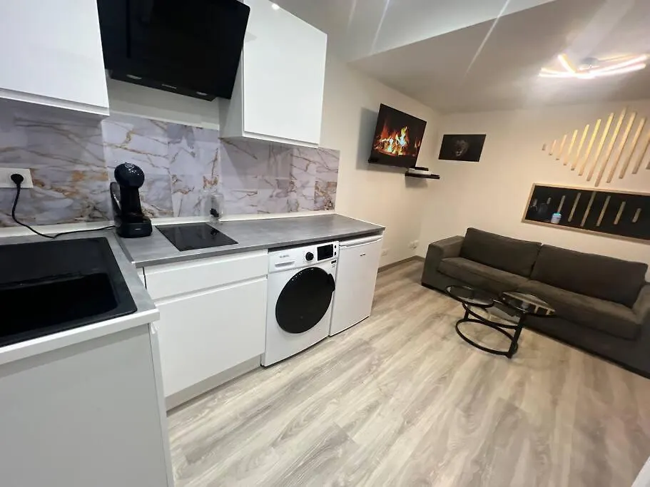 Holiday home Maison Appartement Triplex Avec Jacuzzi Et Sauna Saint-Etienne